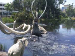 Los Angeles